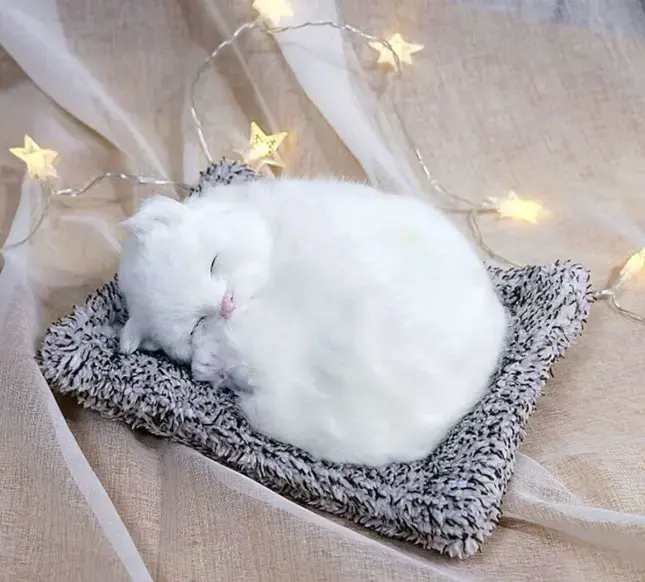 61JbZrGugOL._SL1108_.webp