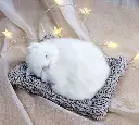 61JbZrGugOL._SL1108_.webp