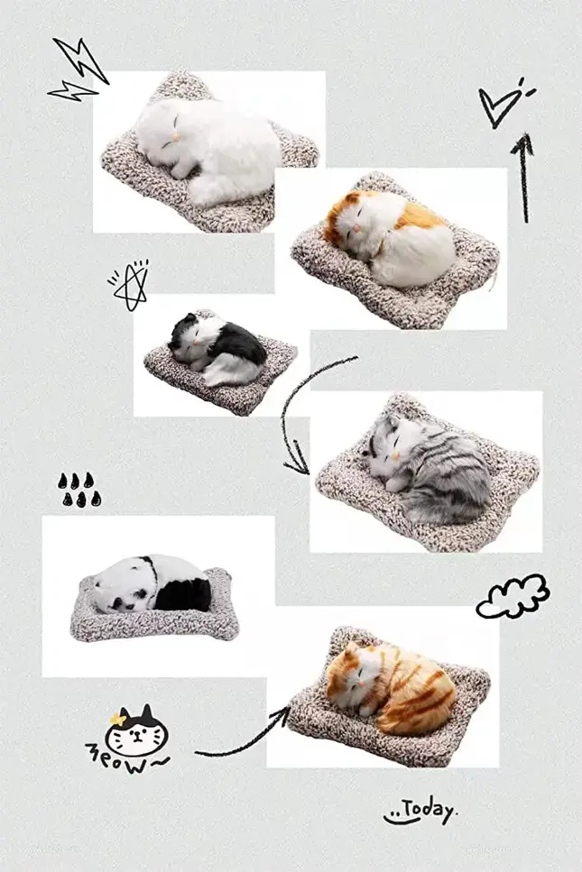 71i7+aFuDCL._SL1500_.webp